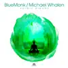 BlueMonk & Michael Whalen - Karmic Dreams